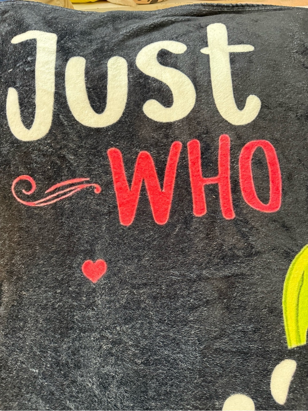 Just A Girl Who Loves Pickles Silky Soft 50” X 60” Throw Blanket - Picture 3 of 11